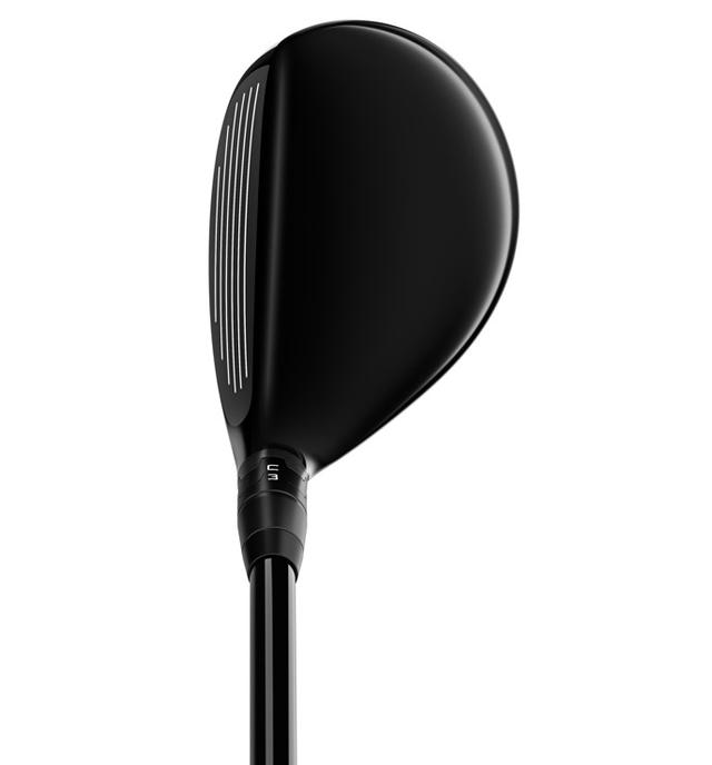 https://image.globalgolf.com/master/1065625/aav/address.jpg