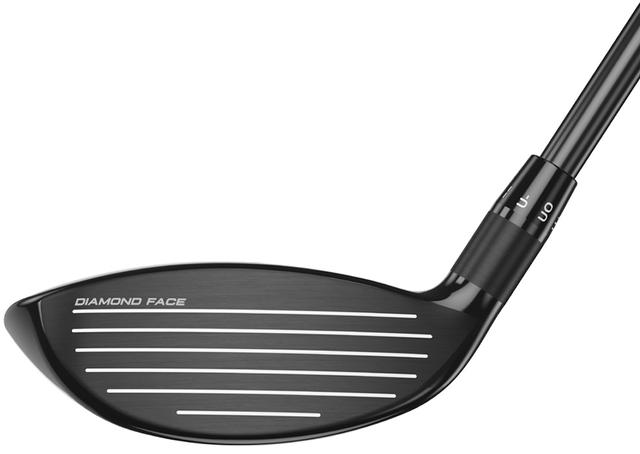 https://image.globalgolf.com/master/1065817/aah/club-face.jpg