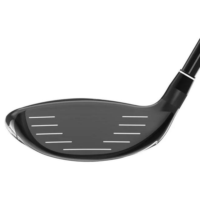https://image.globalgolf.com/master/1066779/aaa/club-face.jpg