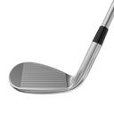 https://image.globalgolf.com/master/1068769/aaa/club-face.jpg