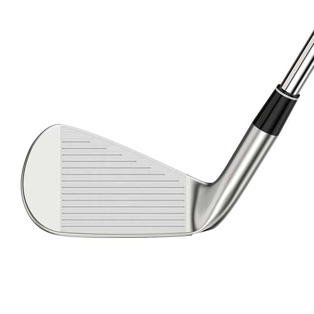 https://image.globalgolf.com/master/1069435/aae/club-face.jpg