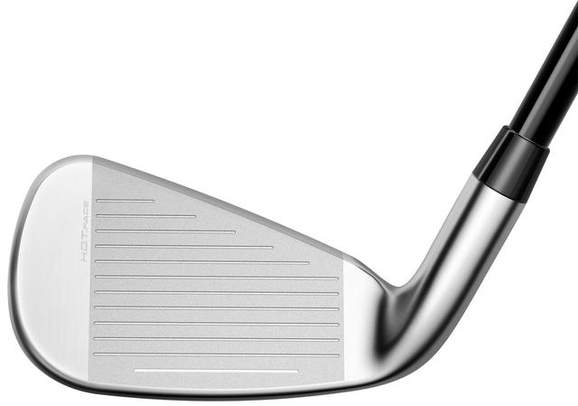https://image.globalgolf.com/master/1070009/aaf/club-face.jpg