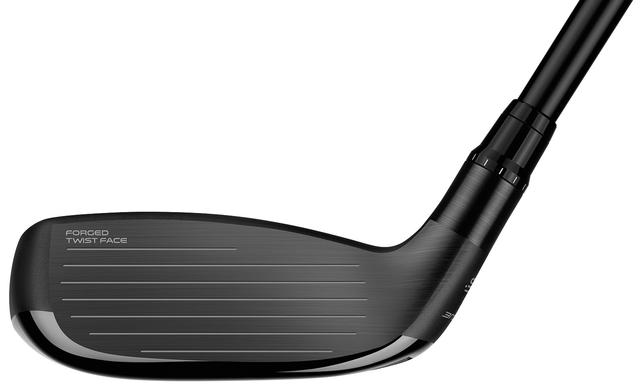 https://image.globalgolf.com/master/1070954/aaa/club-face.jpg