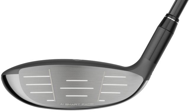 https://image.globalgolf.com/master/1071038/aaa/club-face.jpg