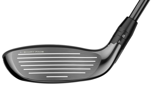 https://image.globalgolf.com/master/1071683/aaj/club-face.jpg