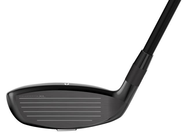 https://image.globalgolf.com/master/1072070/aaa/club-face.jpg
