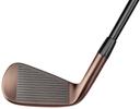 https://image.globalgolf.com/master/1074368/aaj/club-face.jpg
