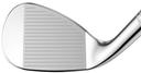 https://image.globalgolf.com/master/1081385/aai/club-face.jpg
