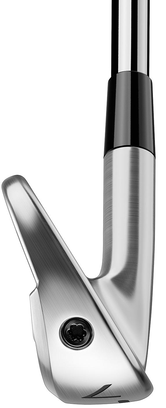 https://image.globalgolf.com/master/1081543/aaj/toe-view.jpg