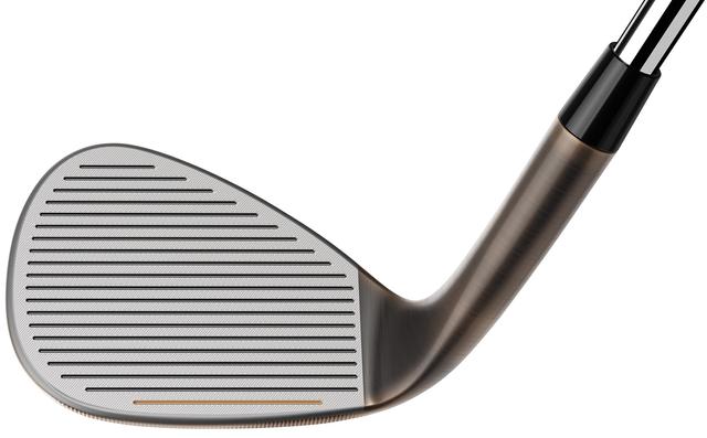 https://image.globalgolf.com/master/1081548/aae/club-face.jpg