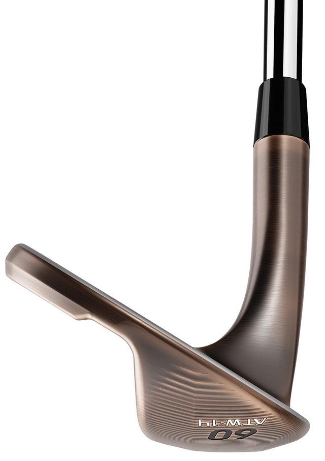 https://image.globalgolf.com/master/1081548/aae/toe-view.jpg