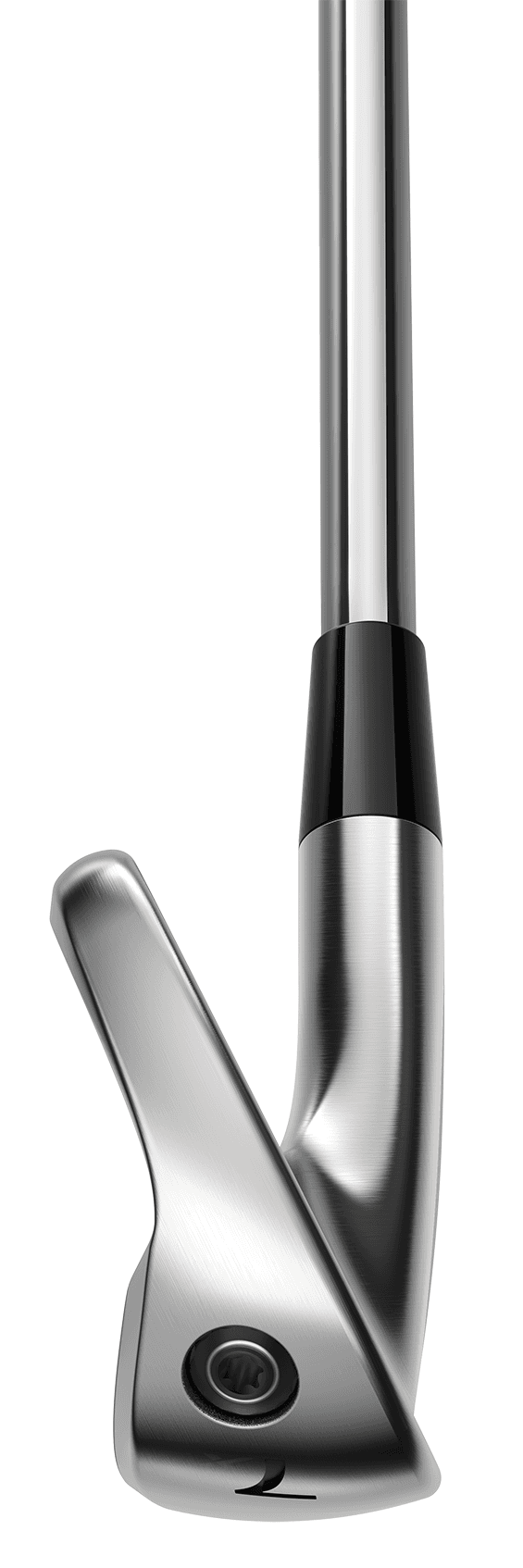 https://image.globalgolf.com/master/1082206/aaa/toe-view.jpg
