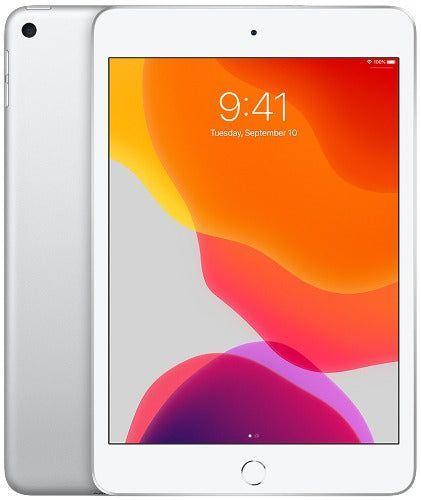 iPad Mini 5 (2019) 7.9" in Silver in Acceptable condition