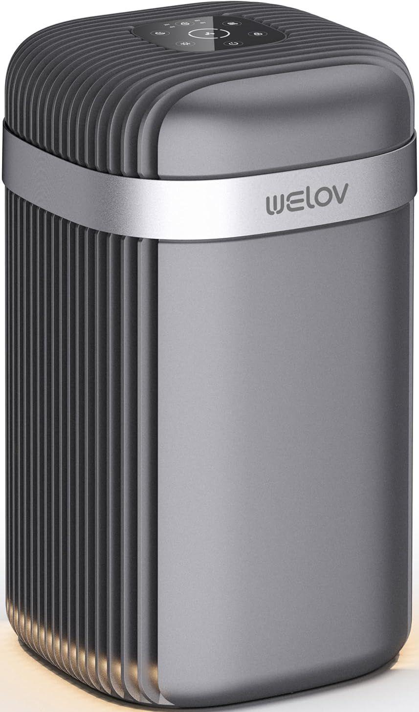WELOV  Air Purifiers for Bedroom: H13 True HEPA Air Purifiers - Grey - Excellent