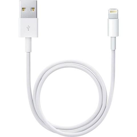 Apple  USB Type-A to Lightning Cable (1.6') - White - As New